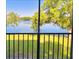Serene view from the porch shows a lake and green space at 7148 E Bank Dr # 7148, Tampa, FL 33617