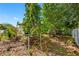 Spacious backyard with lush greenery and plenty of space for outdoor activities at 8502 N Hyaleah Rd, Tampa, FL 33617