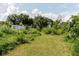 Expansive backyard showcasing mature trees and lush greenery, providing a private and natural setting at 11109 Sumner Rd, Wimauma, FL 33598