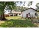 Backyard with green grass, home, and large trees at 11109 Sumner Rd, Wimauma, FL 33598