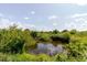 Scenic view of a tranquil pond surrounded by lush greenery and a reflective, cloudy sky at 11109 Sumner Rd, Wimauma, FL 33598