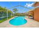 A sparkling pool with a screened enclosure, surrounded by tropical landscaping at 1111 Chatham Ct, Safety Harbor, FL 34695