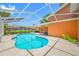 A refreshing pool with screened enclosure and well-maintained landscaping at 1111 Chatham Ct, Safety Harbor, FL 34695