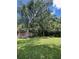 Expansive green backyard showing natural scenery and mature trees at 14935 Ogden Loop, Odessa, FL 33556
