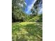 A spacious green backyard with views of mature trees and natural landscape at 14935 Ogden Loop, Odessa, FL 33556