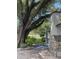 Home exterior showing a beautiful brick chimney and a mature tree at 14935 Ogden Loop, Odessa, FL 33556