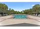Resort-style community pool surrounded by palm trees and lounge chairs at 1604 Acadia Harbor Pl, Brandon, FL 33511