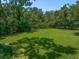 Expansive backyard featuring well-maintained green lawn bordered by mature trees and manicured landscaping at 1681 Long Bow Ln, Clearwater, FL 33764