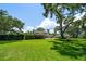 Lush green backyard featuring a large tree and well-maintained lawn with a backyard patio at 1681 Long Bow Ln, Clearwater, FL 33764