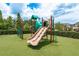 Fun community playground with slides and climbing structures on a soft, grassy surface at 19309 Prairie Tree Pl, Tampa, FL 33647