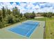 Well-maintained community tennis court, perfect for active recreation in a scenic setting at 19309 Prairie Tree Pl, Tampa, FL 33647