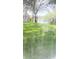 Lush backyard view through a screen, with a lake visible in the distance at 27312 Edenfield Dr, Wesley Chapel, FL 33544