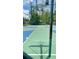 Community basketball court features a green and blue surface with trees in background at 27312 Edenfield Dr, Wesley Chapel, FL 33544