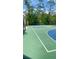 Community basketball court with blue and green surface, surrounded by tall trees at 27312 Edenfield Dr, Wesley Chapel, FL 33544