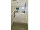 Carpeted bonus room with ceiling fan, television, and window at 27312 Edenfield Dr, Wesley Chapel, FL 33544