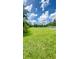 Expansive community soccer field with lush green grass and soccer goals, perfect for recreational games at 27312 Edenfield Dr, Wesley Chapel, FL 33544