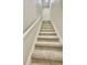 Carpeted staircase leading upstairs with white handrail at 27312 Edenfield Dr, Wesley Chapel, FL 33544
