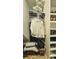 A walk-in closet features built-in shelving units and wood-look tile at 27312 Edenfield Dr, Wesley Chapel, FL 33544