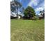 Expansive backyard with lush green lawn, mature trees, and decorative picket fence at 4306 Woodside Manor Dr, Tampa, FL 33624