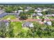 Lush, verdant neighborhood showcasing beautiful homes and tree-lined streets at 812 W Orient St, Tampa, FL 33603
