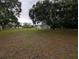 Spacious backyard featuring a well-maintained lawn and mature trees, offering privacy and shade for outdoor activities at 11308 Echo View Dr, Odessa, FL 33556