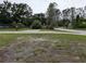 Large front yard with mature trees and driveway leading to the street at 11308 Echo View Dr, Odessa, FL 33556