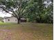 Large, partially wooded yard with a house visible in the background at 11308 Echo View Dr, Odessa, FL 33556