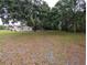 Wide angle view of the large yard with mature trees and plentiful space at 11308 Echo View Dr, Odessa, FL 33556