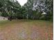 The large yard with mature trees and abundant green space at 11308 Echo View Dr, Odessa, FL 33556