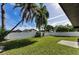 Beautiful backyard with green grass and privacy fence and tropical palm trees against a blue sky at 1800 Mapleleaf Blvd, Oldsmar, FL 34677