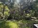 Lush backyard featuring a wooded area, offering privacy and a natural setting at 2349 Willimette Dr, Wesley Chapel, FL 33543
