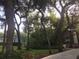 Serene view of the community with lush greenery, mature trees, and walking paths at 2716 11Th Ct, Palm Harbor, FL 34684