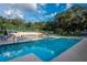 Community pool with lounge chairs and umbrellas, surrounded by a privacy fence at 2716 11Th Ct, Palm Harbor, FL 34684