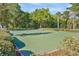 Well-maintained community tennis court surrounded by lush greenery and mature trees at 31241 Kirkshire Ct, Wesley Chapel, FL 33543