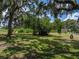Lush backyard featuring mature trees, providing ample shade and a serene environment at 4205 Old Mulberry Rd, Plant City, FL 33567