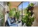 Relaxing balcony with blue seating area and a variety of lush plants at 4221 W Spruce St # 2328, Tampa, FL 33607