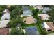 Aerial view shows neatly kept homes in the neighborhood with lovely lawns and mature trees at 8731 Tantallon Cir, Tampa, FL 33647
