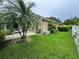 Well-maintained backyard with palm trees, lush green grass, and a patio area at 8731 Tantallon Cir, Tampa, FL 33647