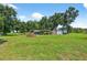 Expansive backyard with lush green grass and mature trees, providing ample space for outdoor activities at 1105 Branch Acres Dr, Plant City, FL 33565