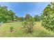 A sprawling green backyard features mature trees, open space, and room to grow at 13311 Omega Ct, Dade City, FL 33525