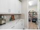 Convenient pantry area with quartz countertops, stylish backsplash, and ample storage at 14672 Horse Trot Rd, Lithia, FL 33547