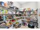 Walk-in pantry featuring extensive shelving for organized storage at 14672 Horse Trot Rd, Lithia, FL 33547