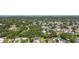 Neighborhood aerial showcasing residences and lush trees under clear skies at 2017 Waikiki Way, Tampa, FL 33619