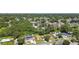 Expansive aerial view of neighborhood homes showcases lush tree coverage with blue skies at 2017 Waikiki Way, Tampa, FL 33619
