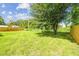 Spacious backyard with lush green grass, a large tree, and a new wood fence at 2017 Waikiki Way, Tampa, FL 33619