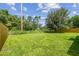 The backyard with a chain link fence and a large tree at 2017 Waikiki Way, Tampa, FL 33619
