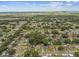Wide aerial view of a residential area, showcasing the neighborhood's layout and harmonious integration with nature at 2027 Balfour Cir, Tampa, FL 33619