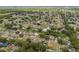 An elevated aerial view capturing the harmonious mix of houses and green spaces that defines the neighborhood's charm at 2027 Balfour Cir, Tampa, FL 33619