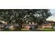 Charming home with a large tree in the front yard at 208 Se Lincoln N Cir, St Petersburg, FL 33703
