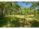 The backyard is heavily wooded with beautiful trees and foliage at 2513 Martucci Rd, Seffner, FL 33584